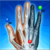 دانلود e-Anatomy Premium 4.12.6 برنامه اطلس آناتومی بدن انسان