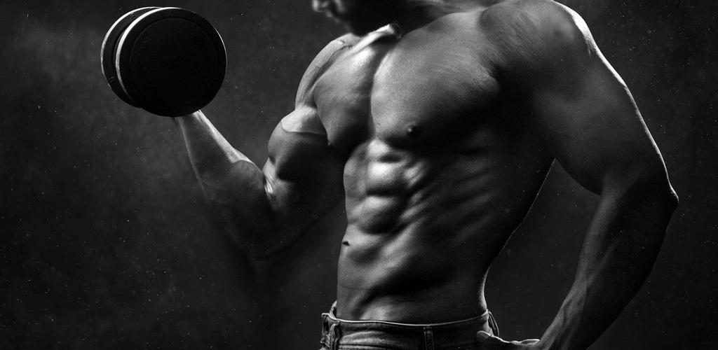 Bodybuilding. Weight Lifting Workout 