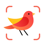 Picture Bird – Bird Identifier 2.9.23 – اپلیکیشن شناسایی پرنده ها اندروید!