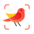 Picture Bird – Bird Identifier 2.9.23 – اپلیکیشن شناسایی پرنده ها اندروید!